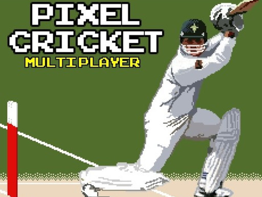 Pixel Cricket Game